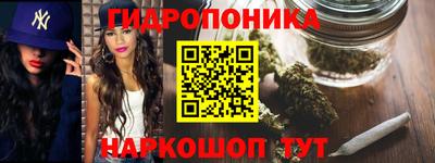 гашик Нальчик