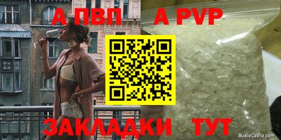 гашик Нальчик