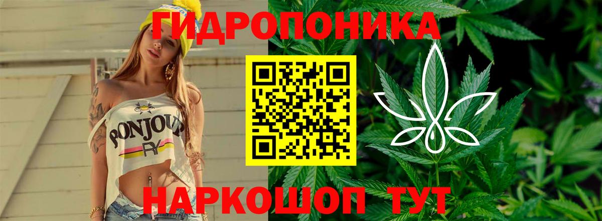 Шишки марихуана марихуана  Шишки марихуана Bruce Banner  Сорочинск  Вход с VPN 